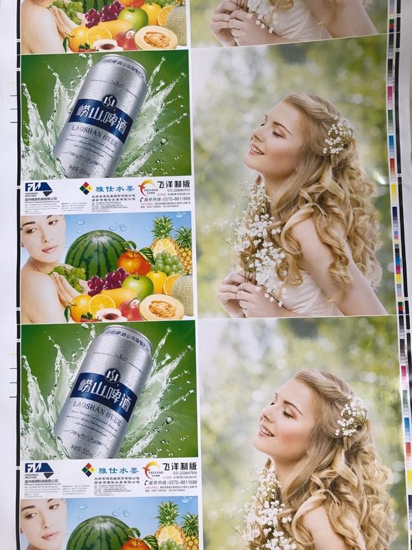 종이 컵 가방 자동 플렉소 프린팅 머신