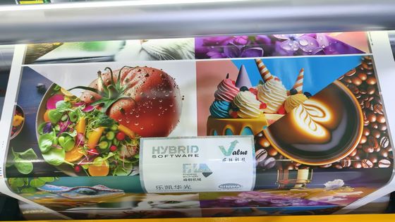 자동 고품질 롤에서 롤 잎자루 타입 풀 서보 모델 플렉소 인 라인 인쇄 기계